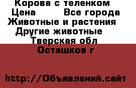 Корова с теленком › Цена ­ 69 - Все города Животные и растения » Другие животные   . Тверская обл.,Осташков г.